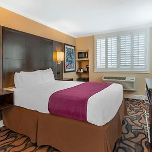 Queen Room Mobility accessible